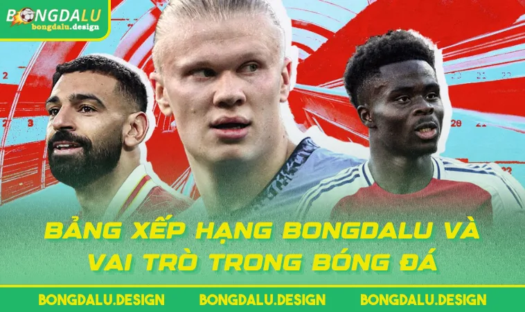 bang xep hang bongdalu va vai tro trong bong da Bảng Xếp Hạng BONGDALU và vai trò trong bóng đá