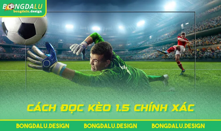 cach doc keo 1 5 chinh Cách đọc kèo 1.5 chính xác