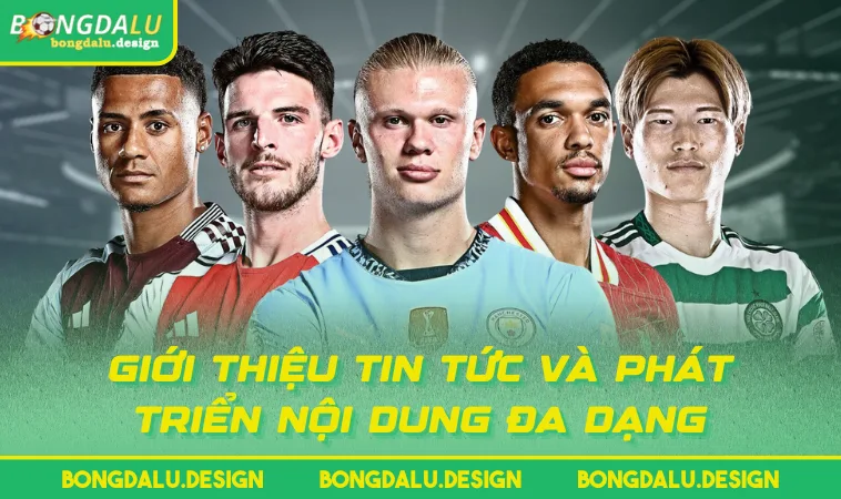 Giới thiệu tin tức và phát triển nội dung đa dạng