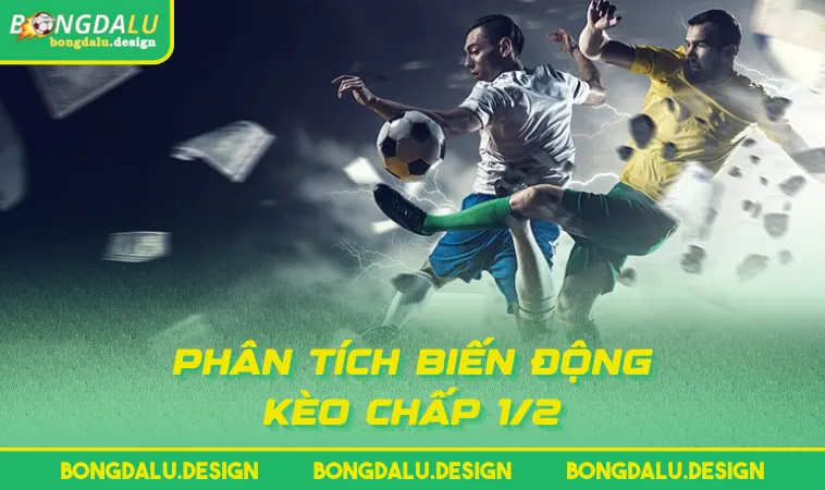 phan tich bien dong keo chap 1 2 Phân tích biến động kèo chấp 1/2