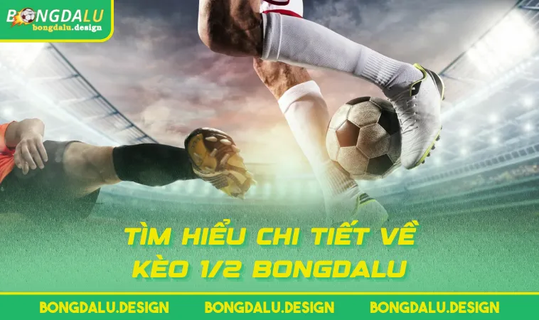 tim hieu chi tiet ve keo 1 2 bongdalu Tìm hiểu chi tiết về kèo 1/2 BONGDALU