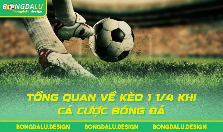 tong quan ve keo 1 1 4 khi ca cuoc bong da Tổng quan về kèo 1 1/4 khi cá cược bóng đá