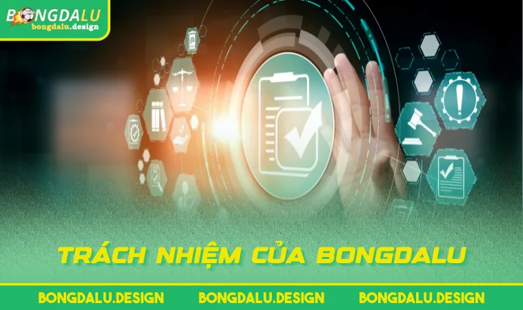 trach nhiem cua bongdalu Trách nhiệm của BONGDALU